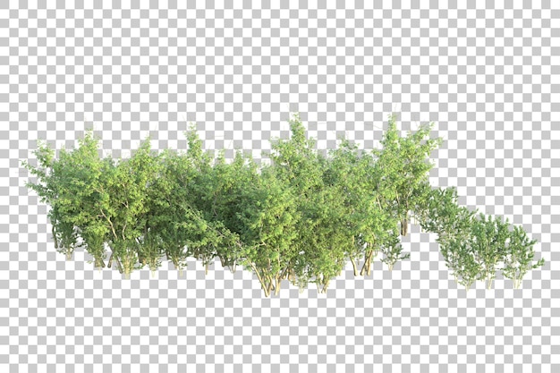 ภาพทิวทัศน์สีเขียวแยกบนพื้นหลังโปร่งใส ภาพเรนเดอร์ 3 มิติ