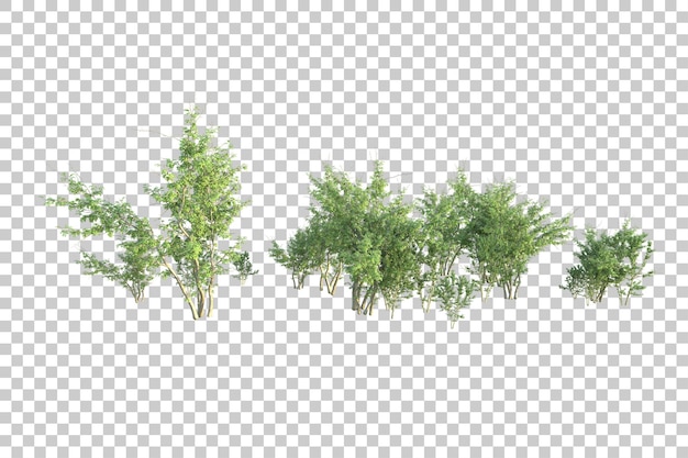 ภาพทิวทัศน์สีเขียวแยกบนพื้นหลังโปร่งใส ภาพเรนเดอร์ 3 มิติ