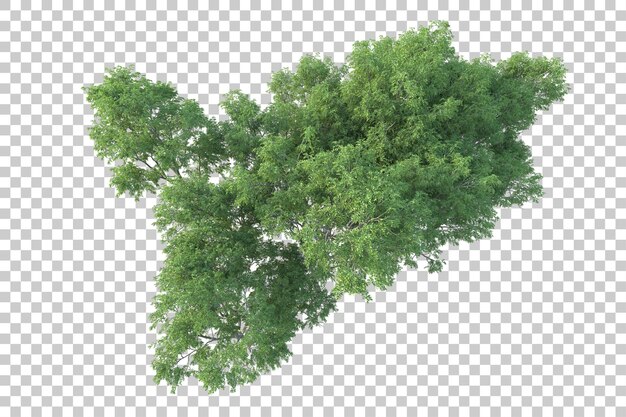 PSD green landscape isolated on transparent background 3d rendering illustration