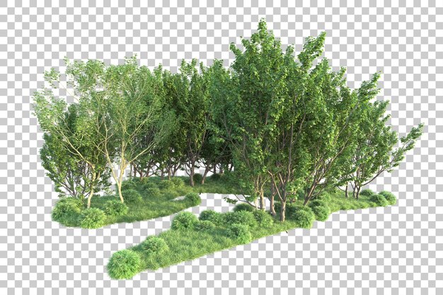 透明な背景の 3 d レンダリング図に分離された緑の風景