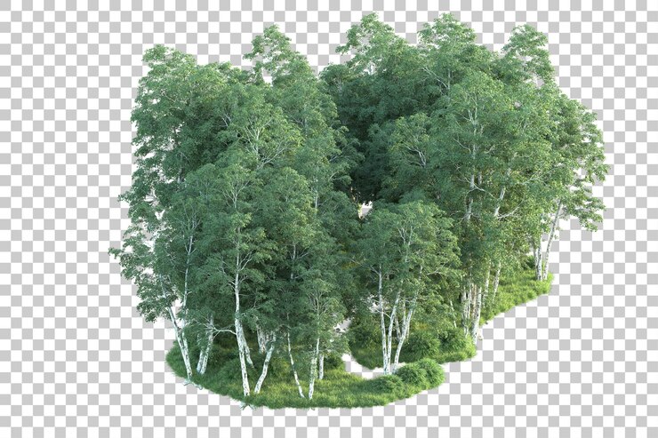 PSD green landscape isolated on transparent background 3d rendering illustration