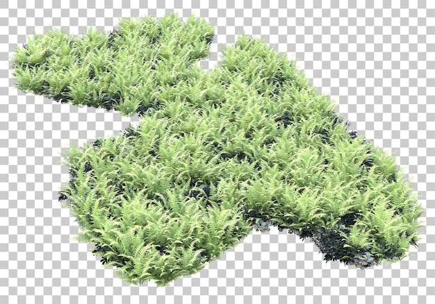 투명 한 배경 3d 렌더링 그림에 녹색 잔디