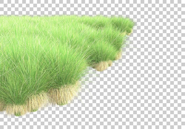 Зеленая лужайка на прозрачном фоне 3d рендеринг иллюстрации