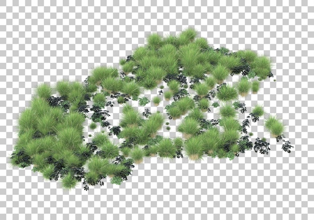 Зеленая лужайка на прозрачном фоне 3d рендеринг иллюстрации