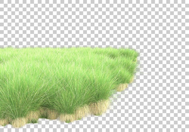 Green lawn on transparent background 3d rendering illustration