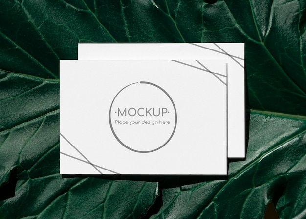 녹색 잎 카드 모형