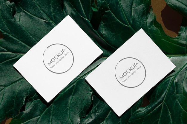 PSD green leaf cards mockup