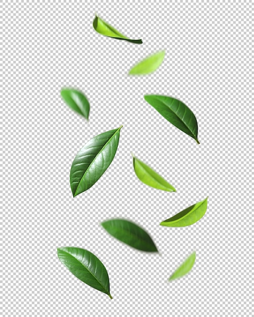 PSD green leafs falling drop down motion cutout backgrounds 3d rendering