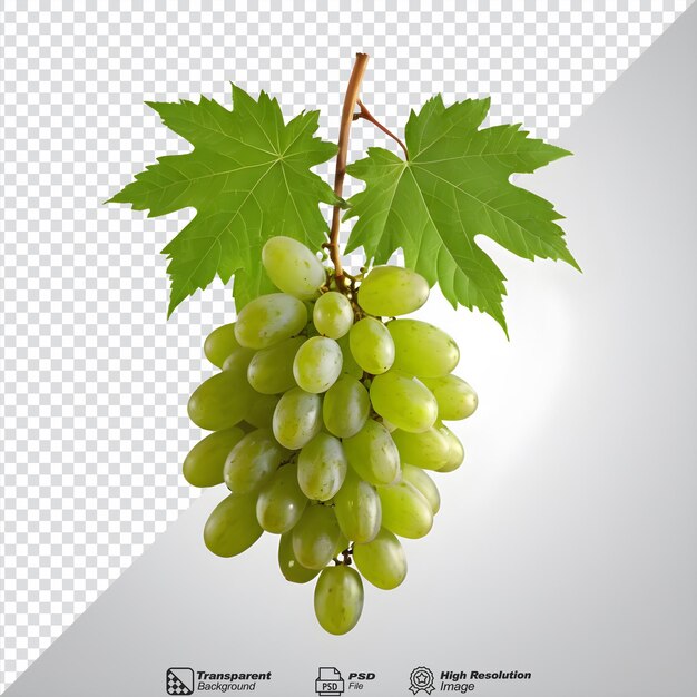Зеленый листовый виноград изолирован на прозрачном фоне изолирован