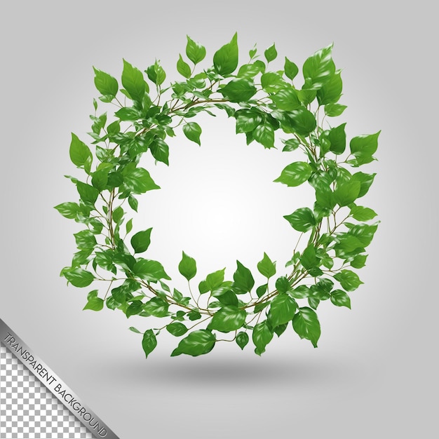 A green leafy plant with a white circle with a white background with a green leaf on it