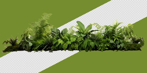 PSD 緑の葉と植物 パプア・ng