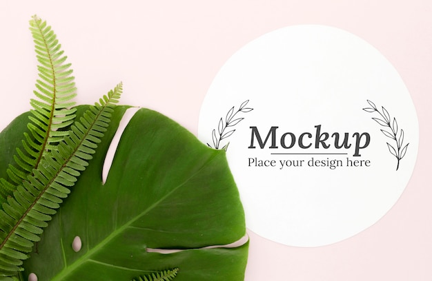 green leaves arrangement with mock-up