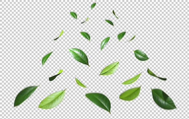 PSD green leaves fly motion springtime cutout on transparent backgrounds 3d rendering