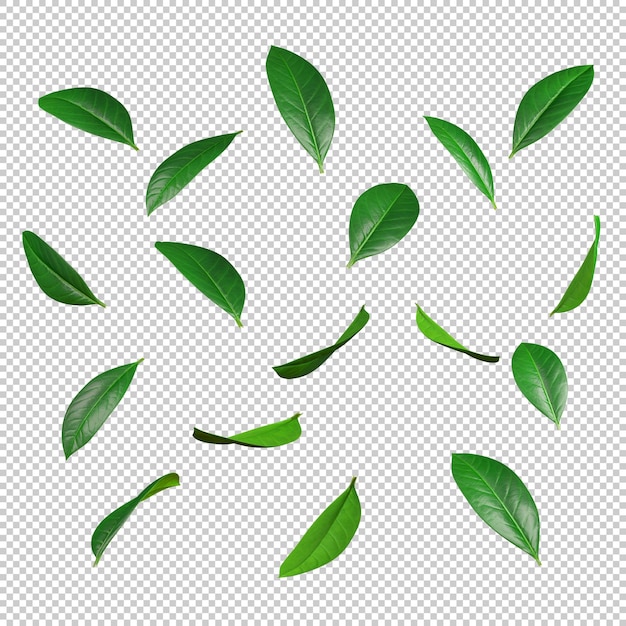Green leaves movement falling flow 3d rendering illustration background