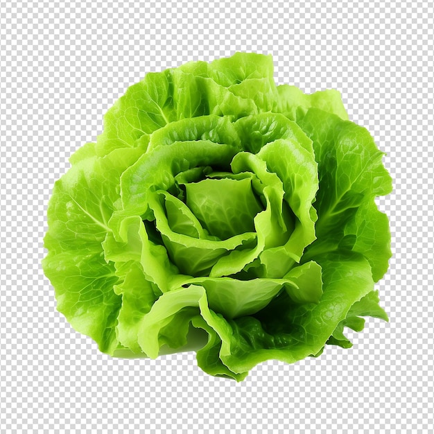 PSD green lettuce isolated on transparent background fresh lettuce png generative ai