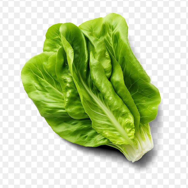 PSD a green lettuce on a transparent background