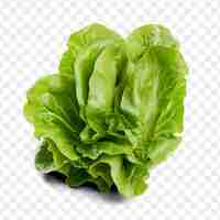 PSD a green lettuce on a transparent background