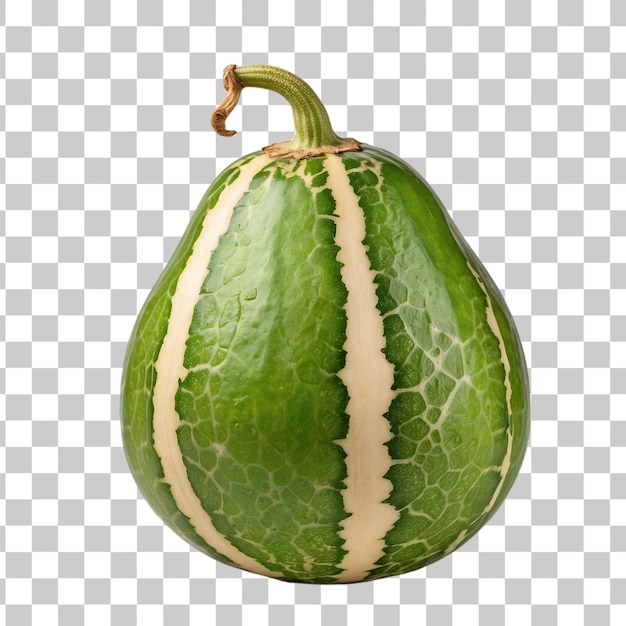 Green melon isolated on transparent background