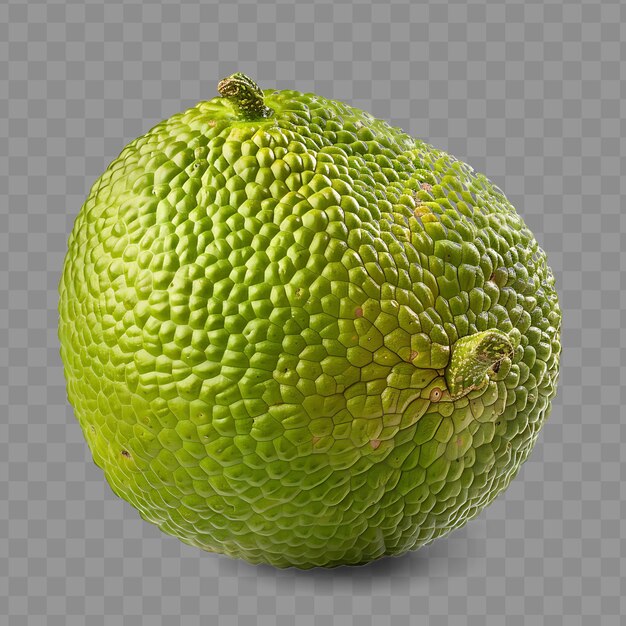 PSD a green melon with a yellow center and green speckled skin