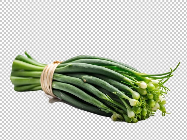 Green onion isolated on transparent background