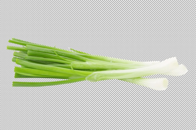 PSD green onion isolated on a transparent background