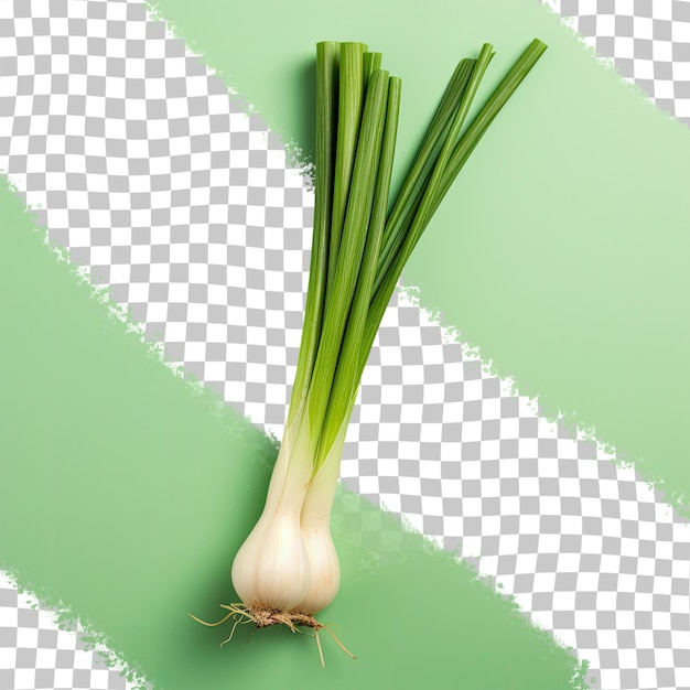 Green onion on a transparent background