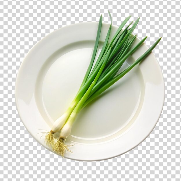 PSD green onion white plate isolated transparent background