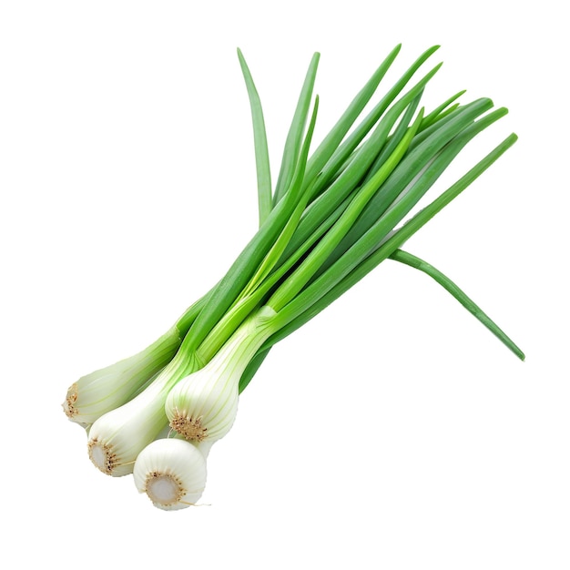 Green onion