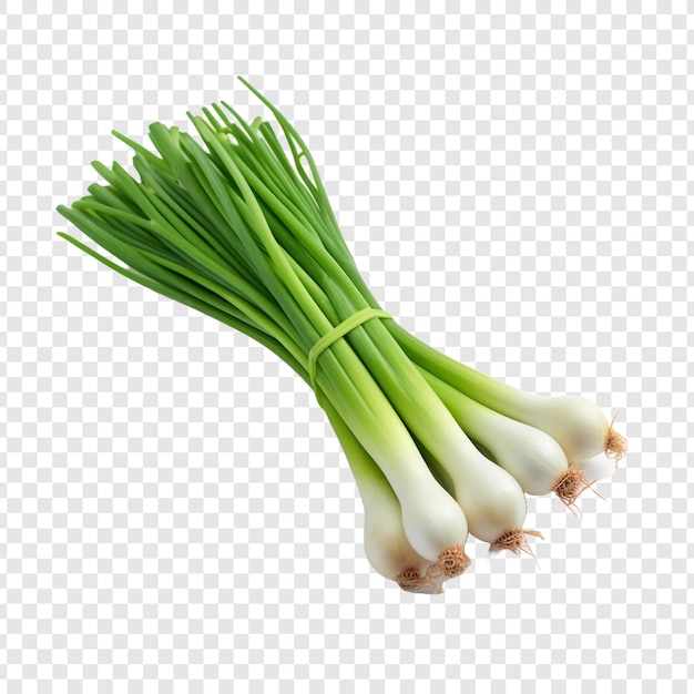 Green onions isolated on transparent background