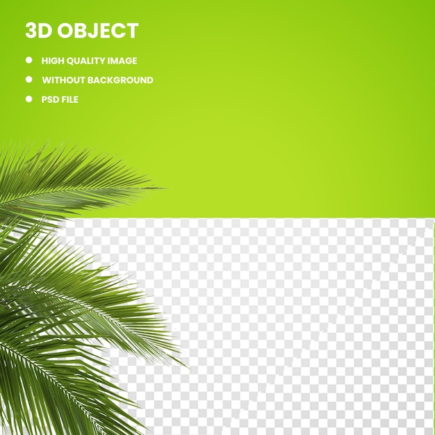 PSD green palm leaves