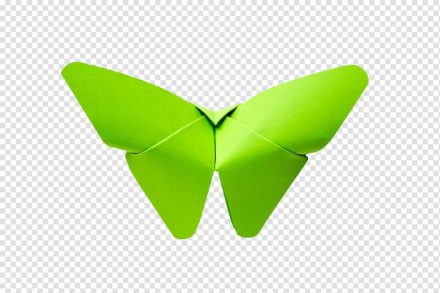 Green paper butterfly origami isolated on a white background