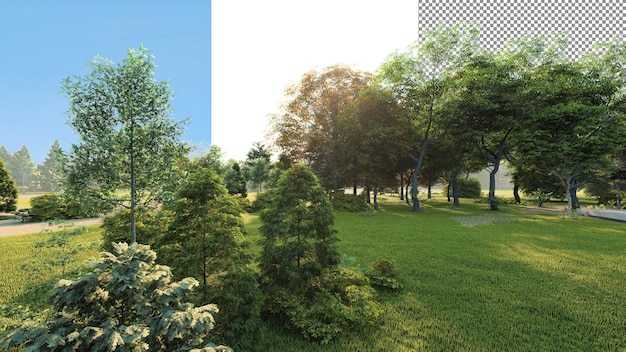 PSD 緑豊かな公園の透明な背景の 3 d レンダリング