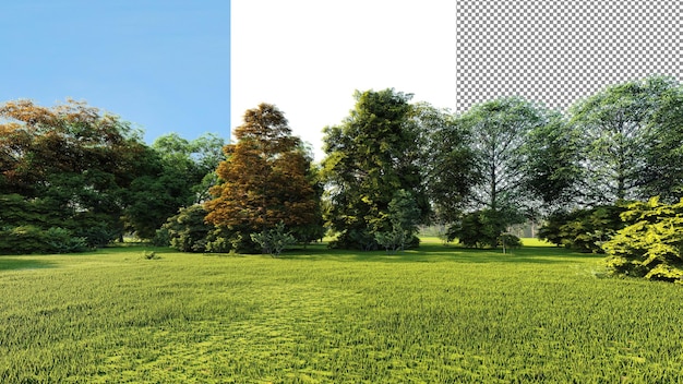 PSD green park transparent background 3d rendering