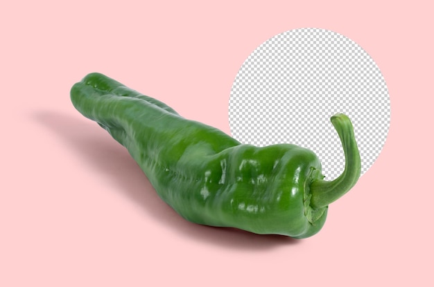 Green pepper mockup