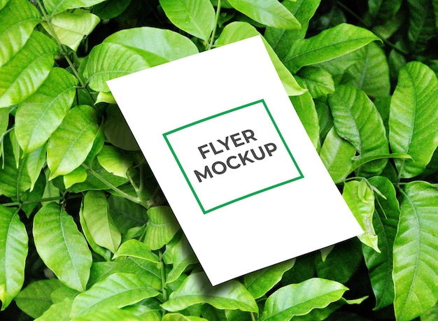 Green plant clean minimal  a4 flyer mockup template with leaves