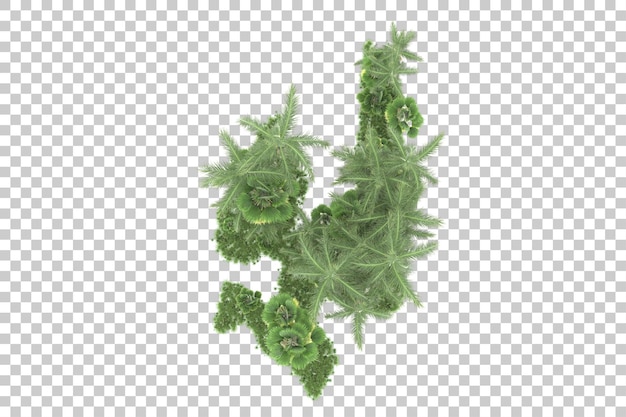 PSD a green plant on a transparent background