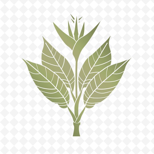 PSD una pianta verde su uno sfondo bianco con un modello di foglie
