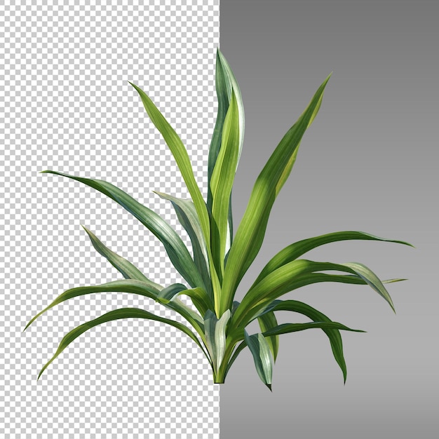 白い背景と黒と白の紙の背景を持つ緑の植物
