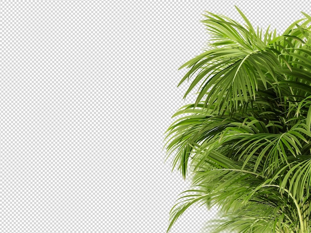 葉のパターンを持つ白い背景の緑の植物