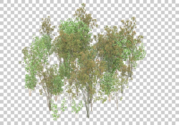 Green plants and flowers on transparent background 3d rendering illustration