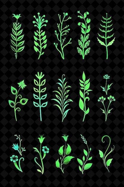 Green plants on a black background