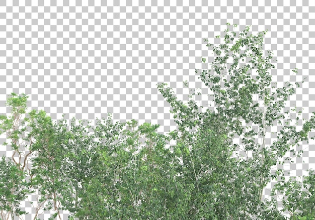 透明な背景の上の緑の植物と花3dレンダリングイラスト