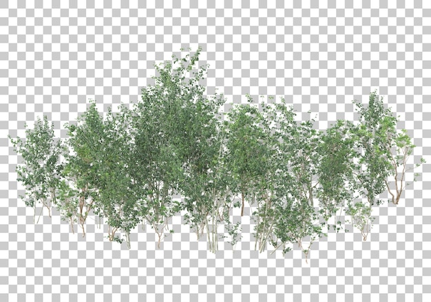 Green plants and flowers on transparent background 3d rendering illustration