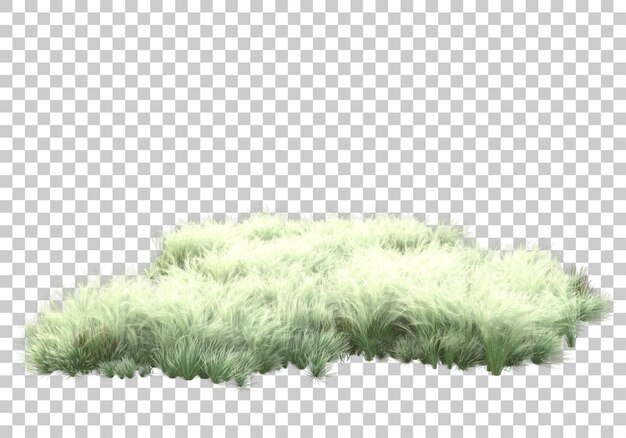 Green plants and flowers on transparent background 3d rendering illustration