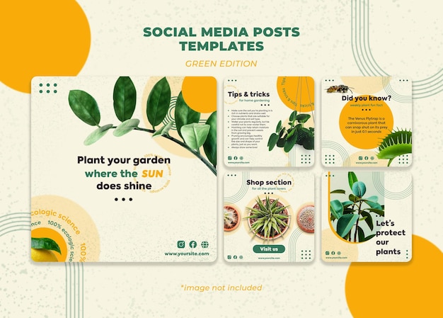 PSD green plants social media template