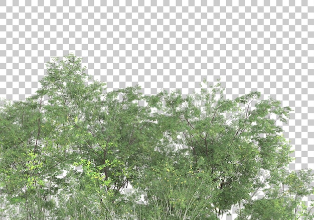 Green plants with transparent background 3d rendering illustration