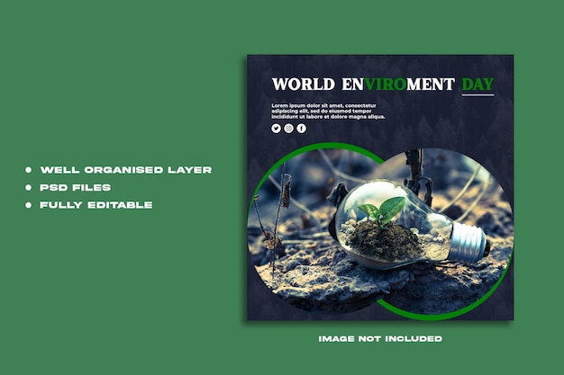 Un poster verde per la giornata mondiale dell'ambiente con una donna che tiene una pianta.
