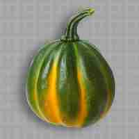 PSD a green pumpkin with yellow and orange spots is shown on a transparent background