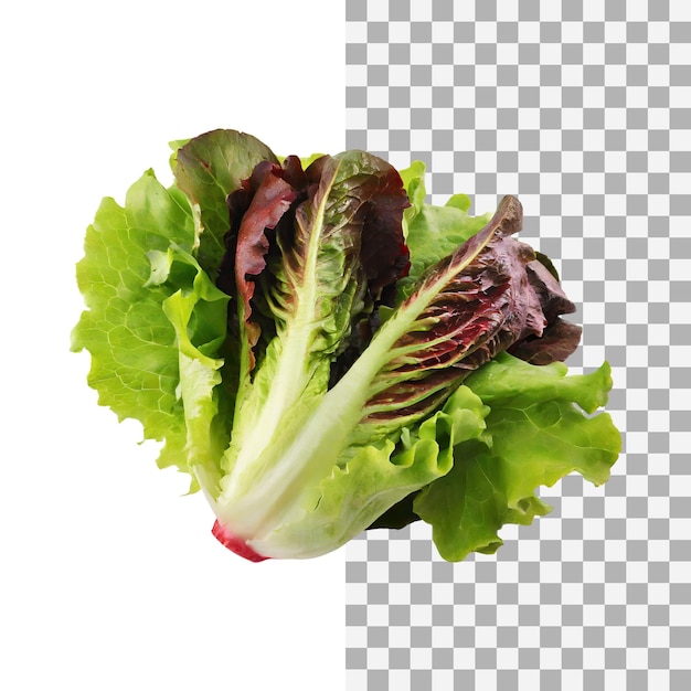 PSD green and red romaine lettuce isolated transparent background