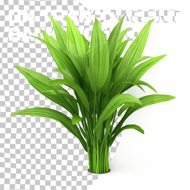 PSD green ribbed plantain plant beautiful floral background 3d render isolated on transparent background